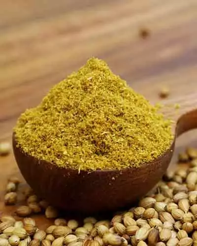 coriander-powder