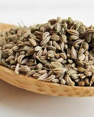 ajwain