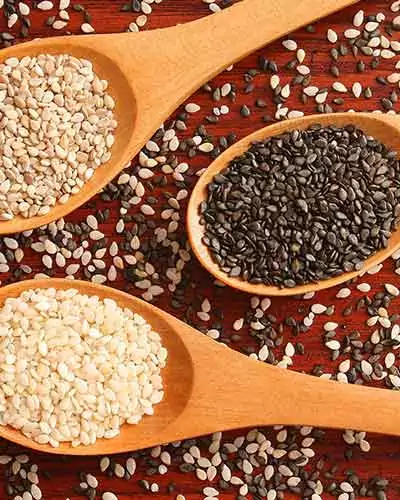 Til-sesame-seeds